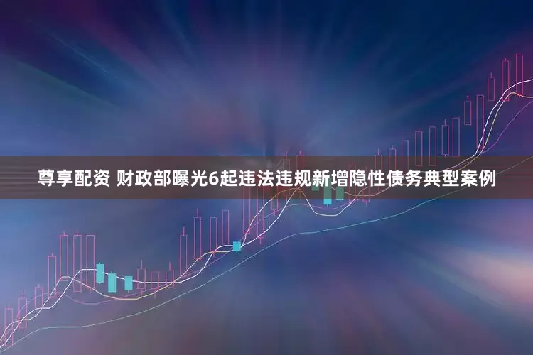 尊享配资 财政部曝光6起违法违规新增隐性债务典型案例